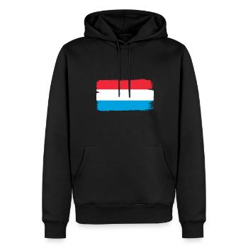 Drapeau luxembourgeois Drapeau luxembourgeois Accueil - Sweat à capuche Premium bio Homme - noir - Devant - Nico (187cm)