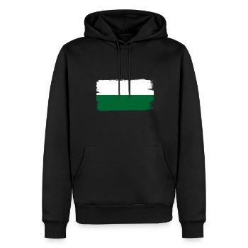 Drapeau de Saxe Drapeau saxon Ossi Holiday SN - Sweat à capuche Premium bio Homme - noir - Devant - Nico (187cm)