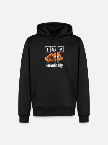 Petit panda - Sweat à capuche Premium bio Homme - noir
