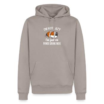 Cobaye - Sweat à capuche Premium bio Homme - taupe - Devant - Nico (187cm)