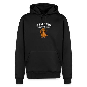 Langhaardackel - Männer Premium Bio Hoodie - Schwarz - Vorne - Nico (187cm)