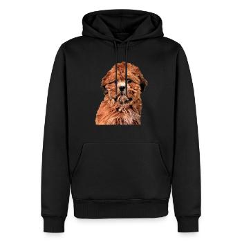 Lhasa Apso - Männer Premium Bio Hoodie - Schwarz - Vorne - Nico (187cm)