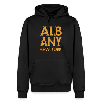 Albany - New York - United States of America - USA - Männer Premium Bio Hoodie - Schwarz - Vorne - Nico (187cm)