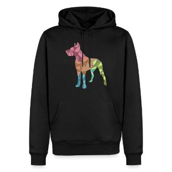 GROSSER DANE, geometrisch, bunt - Männer Premium Bio Hoodie - Schwarz - Vorne - Nico (187cm)