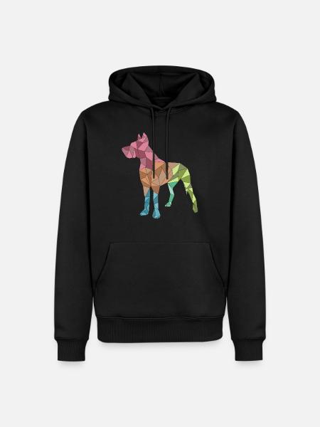 GROSSER DANE, geometrisch, bunt - Männer Premium Bio Hoodie - Schwarz