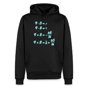 Gleichungen des Elektromagnetismus - Männer Premium Bio Hoodie - Schwarz - Vorne - Nico (187cm)