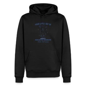 Sarcastic Sunshine - Men’s Premium Organic Hoodie - black - Front - Nico (187cm)