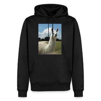 lama, alpaca, alpaca love, gift - Men’s Premium Organic Hoodie - black - Front - Nico (187cm)