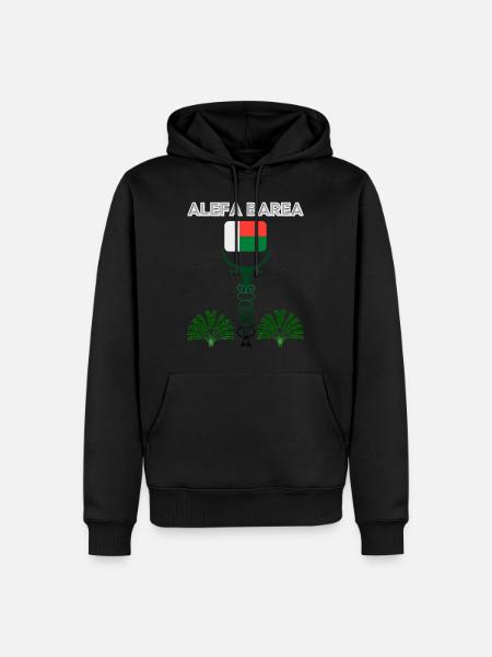 ALEFA BAREA madagascar - Men’s Premium Organic Hoodie - black