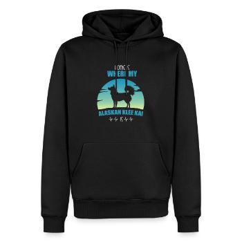 Quai de trèfle de l’Alaska - Sweat à capuche Premium bio Homme - noir - Devant - Nico (187cm)