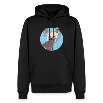 Chinesischer Schopfhund Chinese Crested Geschenk - Männer Premium Bio Hoodie - Schwarz - Vorne - Nico (187cm)