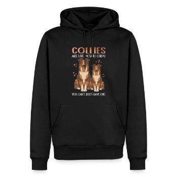 Collie Langhaarcollie Hund Rough Collies Geschenk - Männer Premium Bio Hoodie - Schwarz - Vorne - Nico (187cm)