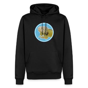 Leguan Reptilien Eidechse Leguane Geschenk - Männer Premium Bio Hoodie - Schwarz - Vorne - Nico (187cm)