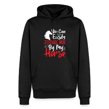 Sie können mich leicht an meinem Pferd beurteilen - Männer Premium Bio Hoodie - Schwarz - Vorne - Nico (187cm)