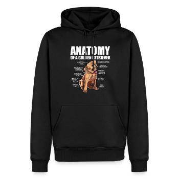 Golden Retriever Goldie Labrador Hundefreund - Männer Premium Bio Hoodie - Schwarz - Vorne - Nico (187cm)