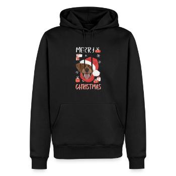 Labrador Frohe Weihnachten - Männer Premium Bio Hoodie - Schwarz - Vorne - Nico (187cm)