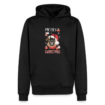 Joyeux Noël Leonberg - Sweat à capuche Premium bio Homme - noir - Devant - Nico (187cm)