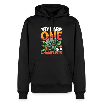 You Are One In A Chameleon für Reptilienhalter - Männer Premium Bio Hoodie - Schwarz - Vorne - Nico (187cm)