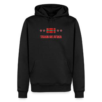 Transnistrien - Männer Premium Bio Hoodie - Schwarz - Vorne - Nico (187cm)