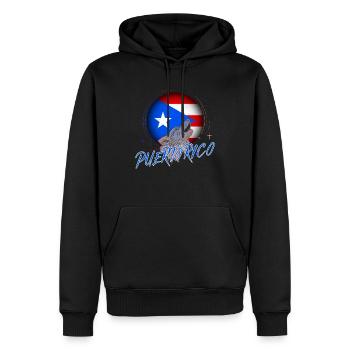 Puerto Rico - Men’s Premium Organic Hoodie - black - Front - Nico (187cm)