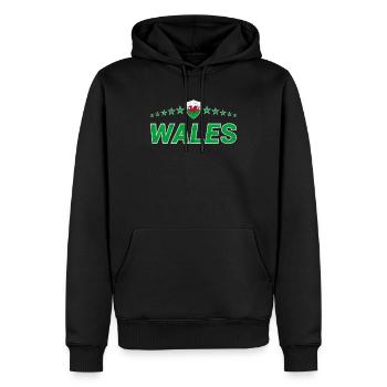 Pays de Galles - Sweat à capuche Premium bio Homme - noir - Devant - Nico (187cm)