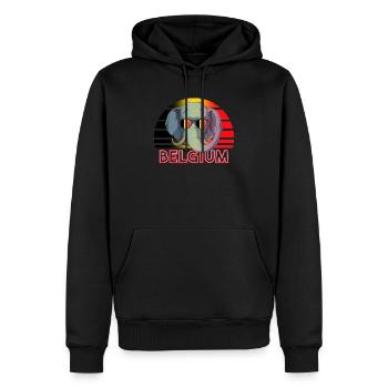 Belgien - Männer Premium Bio Hoodie - Schwarz - Vorne - Nico (187cm)
