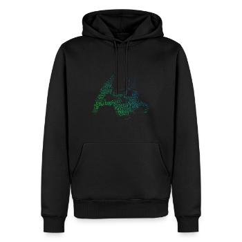 Kitesurfers Hommes Femme Kiting Kitesurf - Sweat à capuche Premium bio Homme - noir - Devant - Nico (187cm)