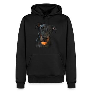 Blick auf den Beauceron - Männer Premium Bio Hoodie - Schwarz - Vorne - Nico (187cm)