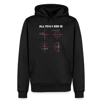 TOUT CE DONT VOUS AVEZ BESOIN DE maths - Sweat à capuche Premium bio Homme - noir - Devant - Nico (187cm)