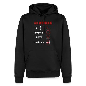 Professeur de mathématicien - Sweat à capuche Premium bio Homme - noir - Devant - Nico (187cm)