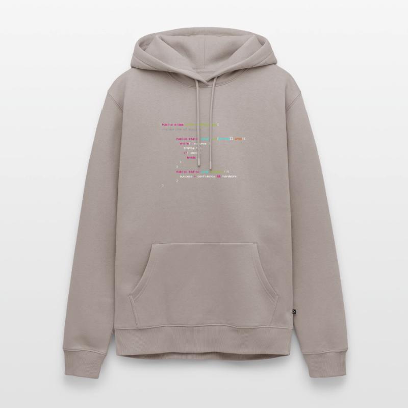 Algorithme De Succès - Codeur - Informaticien Sweat à capuche Premium bio Homme