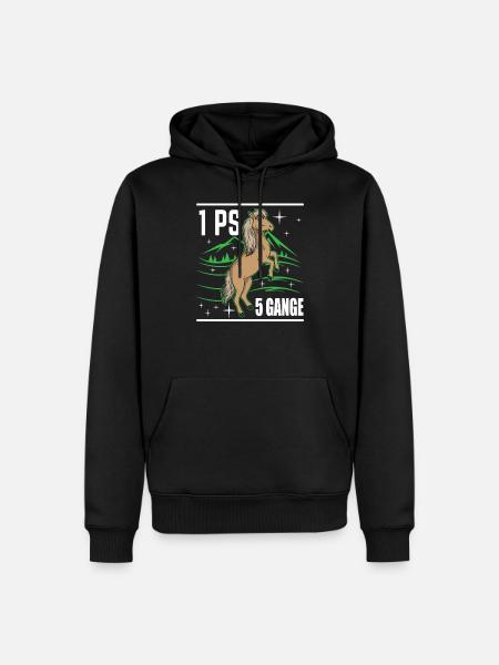 cheval Islande - Sweat à capuche Premium bio Homme - noir