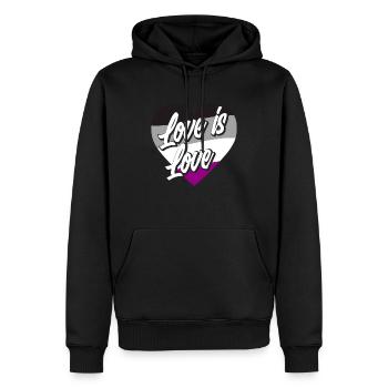 Asexuell Flagge Stolz Liebe - Männer Premium Bio Hoodie - Schwarz - Vorne - Nico (187cm)