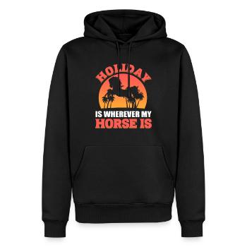 Pferdeliebhaber Reitlehrer - Männer Premium Bio Hoodie - Schwarz - Vorne - Nico (187cm)