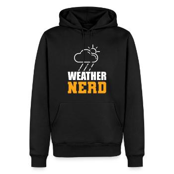 Weather Nerd Klimaforscher - Männer Premium Bio Hoodie - Schwarz - Vorne - Nico (187cm)