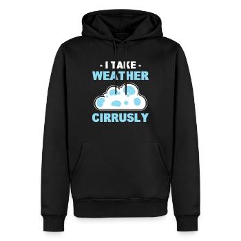 I Take Weather Cirrusly Wetterfrosch - Männer Premium Bio Hoodie - Schwarz - Vorne - Nico (187cm)