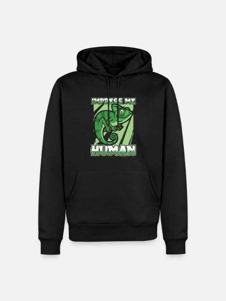 Chameleon Chamäleon - Men’s Premium Organic Hoodie - black