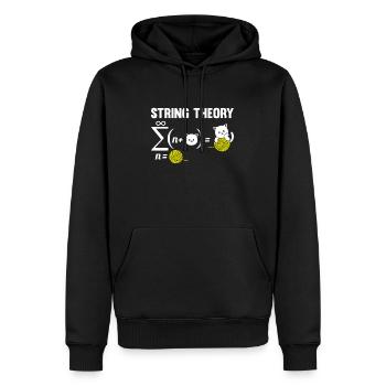 Physik Phyiker Katze Quantenphysik String Theory - Männer Premium Bio Hoodie - Schwarz - Vorne - Nico (187cm)