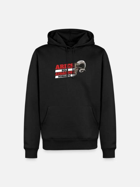 Aries Zodiac Signs Features - Men’s Premium Organic Hoodie - black