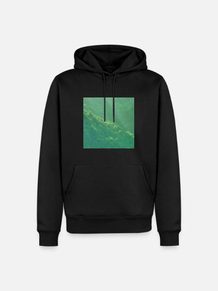 Mountain forest - Men’s Premium Organic Hoodie - black