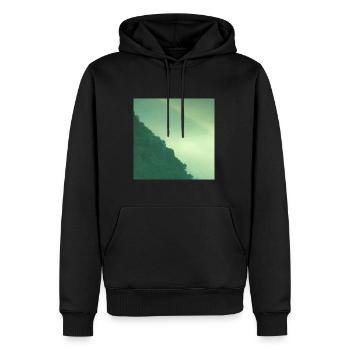 Mountain forest - Men’s Premium Organic Hoodie - black - Front - Nico (187cm)