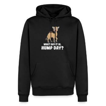 Chameau chameaux amour cadeau amoureux des animaux - Sweat à capuche Premium bio Homme - noir - Devant - Nico (187cm)