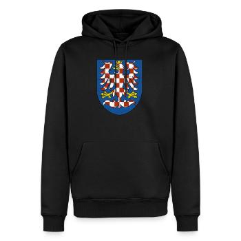 Conception de la Moravie | Vêtements moraves tchèques - Sweat à capuche Premium bio Homme - noir - Devant - Nico (187cm)