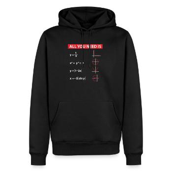 Mathe Algebra Mathematik Lehrer Geschenkidee - Männer Premium Bio Hoodie - Schwarz - Vorne - Nico (187cm)