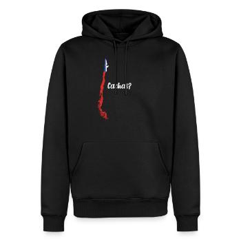Chili Cachai Amérique du Sud carte drapeau chilien - Sweat à capuche Premium bio Homme - noir - Devant - Nico (187cm)