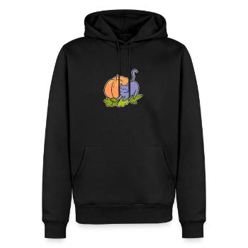 Katzen-Kürbis Halloween Katzen-Inhaber Geschenk - Männer Premium Bio Hoodie - Schwarz - Vorne - Nico (187cm)
