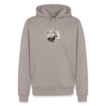 Native Americans | Indianer auf Pferd | Sarkasmus - Männer Premium Bio Hoodie - Taupe - Vorne - Nico (187cm)