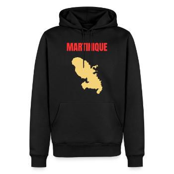 T-shirt Martinique – Antilles - Sweat à capuche Premium bio Homme - noir - Devant - Nico (187cm)
