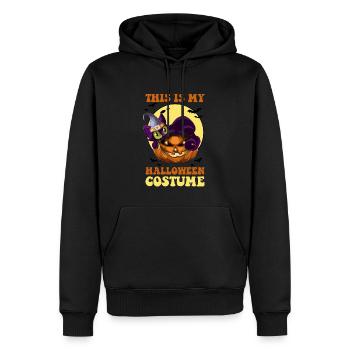Voici mes costumes d’Halloween - Sweat à capuche Premium bio Homme - noir - Devant - Nico (187cm)
