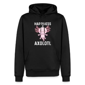 Glück Ist Axolotl - Männer Premium Bio Hoodie - Schwarz - Vorne - Nico (187cm)